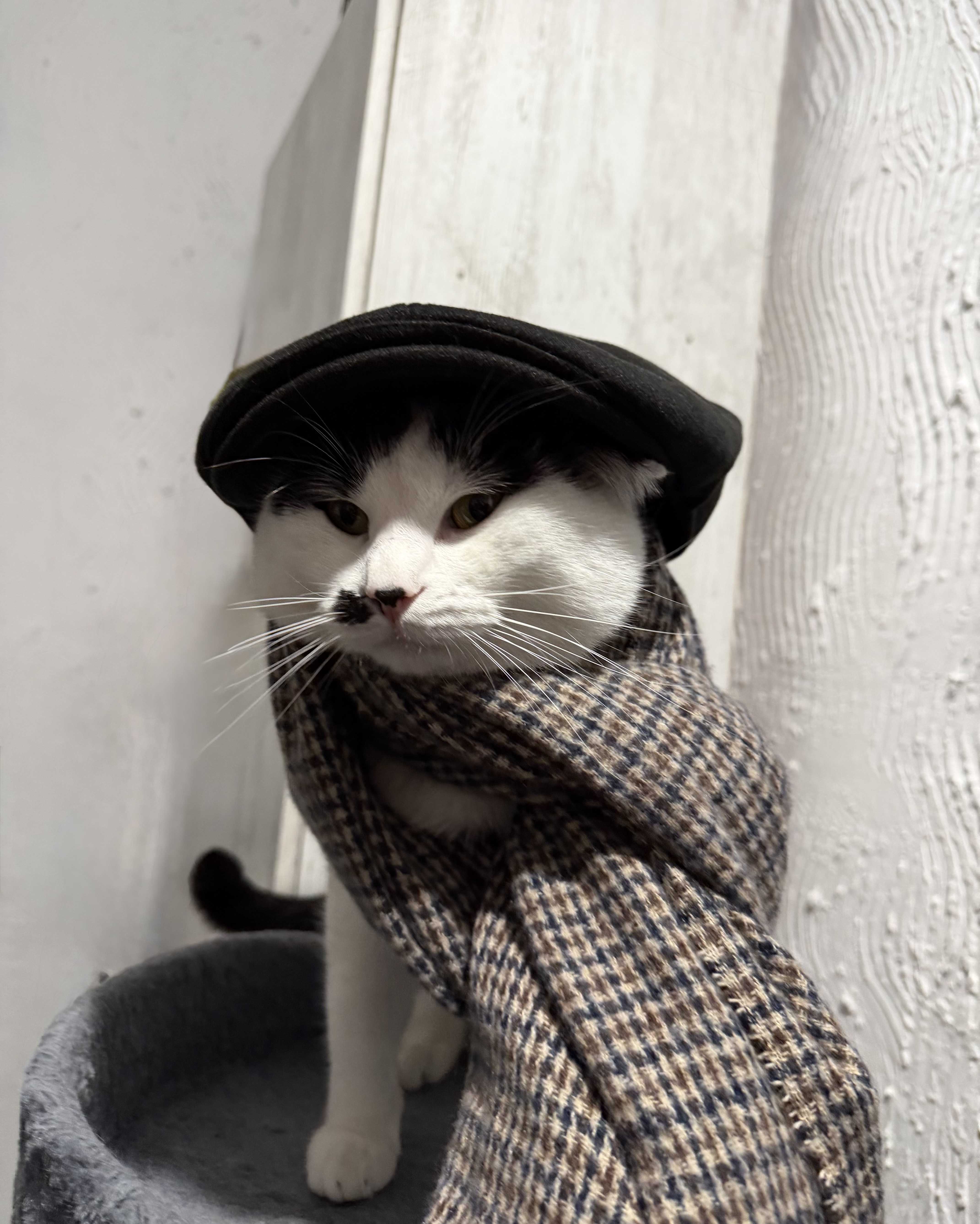 Кадър от кабинета