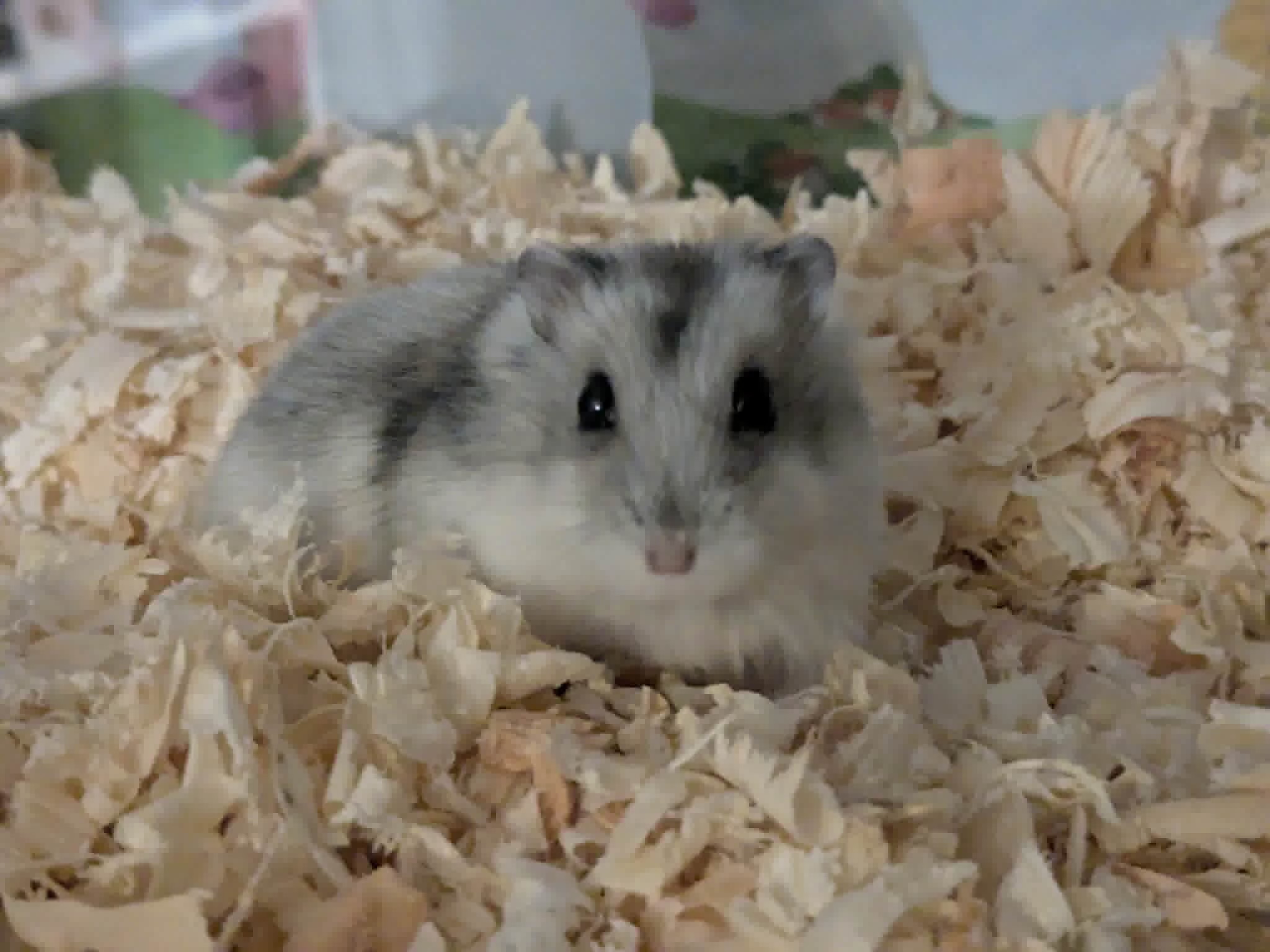 Кадър от кабинета