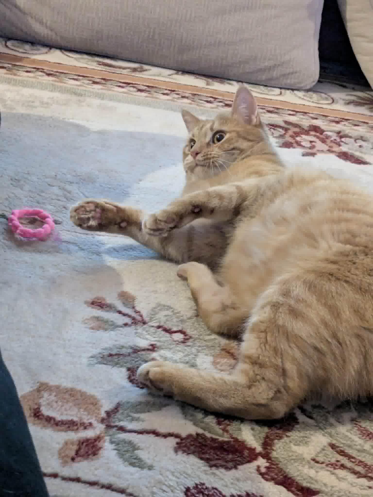 Кадър от кабинета